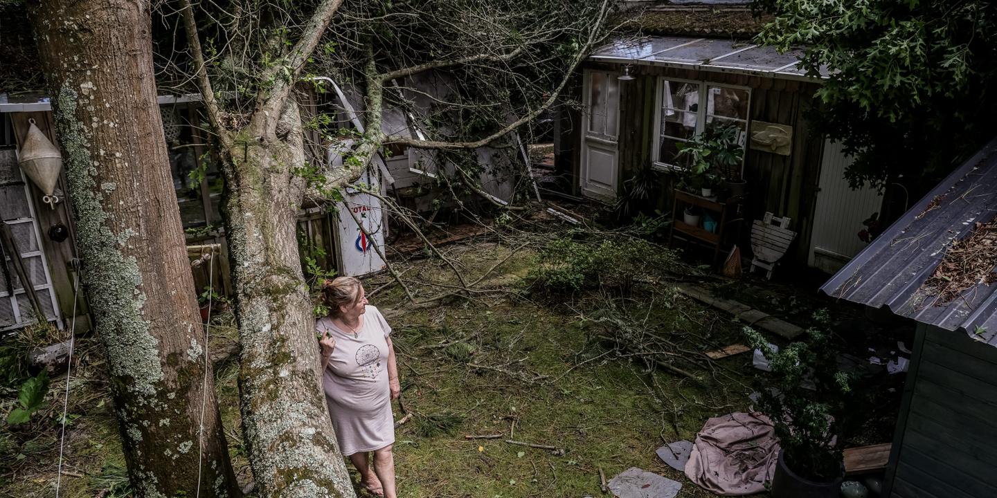 Tonnerre, rafales de vent et arbres déracinés : les images des orages qui ont traversé la France