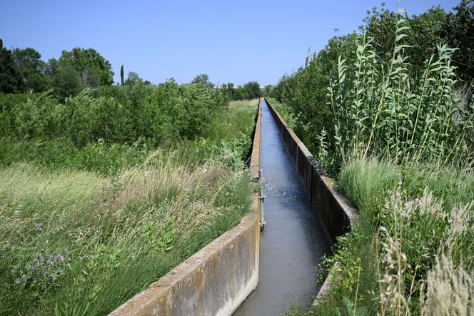 Un canal d’irrigation pour l’agriculture, près de Salon-de-Provence (Bouches-du-Rhône), le 23 juin 2023.