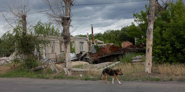 En direct, guerre en Ukraine : des attaques russes dans l’oblast de Kharkiv ont fait un mort et 4 blessés, selon les autorités locales