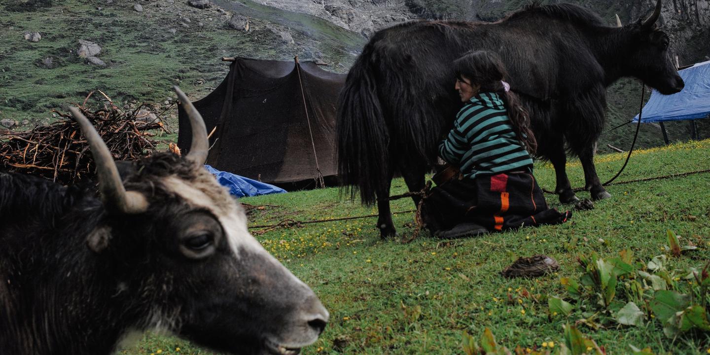 https://img.lemde.fr/2025/06/27/406/0/2000/1000/1440/720/60/0/b9118d1_upload-1-nyonihvocmrj-071-bhutan-story-final.jpg