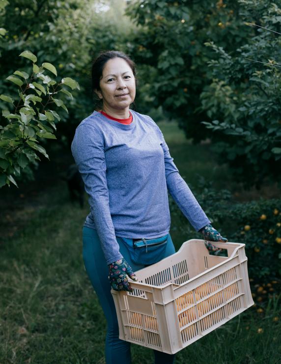 Maribel, 49 ans, est ouvrière agricole au Mas du soleil, à Beaucaire, dans le Gard, vendredi 27 juin 2025.