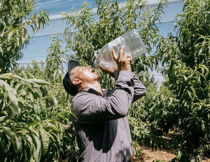 German, 50 ans, originaire d’Equateur, est ouvrier agricole au Mas rouge. A Jonquières-Saint-Vincent dans le Gard (30), le 27 juin 2025.