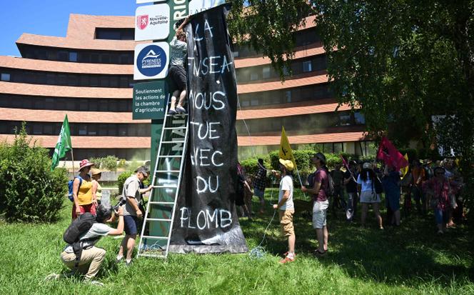 Des membres de la Confédération paysanne manifestent contre la proposition de loi Duplomb, à Pau, le 28 juin 2025. 