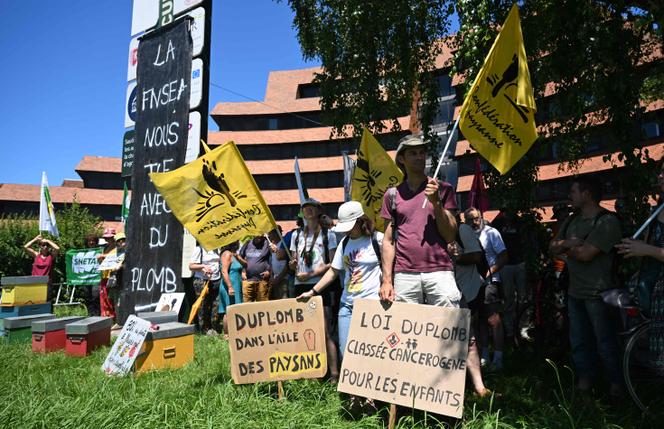 Des agriculteurs lors d’une manifestation contre le projet de loi Duplomb, qui vise à lever les contraintes sur l’exercice de leur profession, à Pau, le 28 juin 2025.