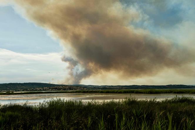 Deux avions de lutte contre les incendies arrivant près d’un panache de fumée provenant d’une colline alors qu’un feu de forêt brûle à Bizanet, à l’ouest de la ville de Narbonne, dans l’Aude, le 29 juin 2025.