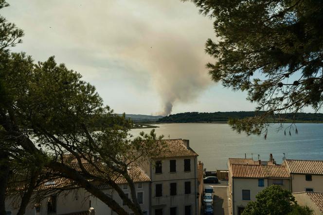 Une colonne de fumée s’élève au-dessus d’un massif forestier aux abords de Bizanet, dans l’Aude, le 29 juin 2025.