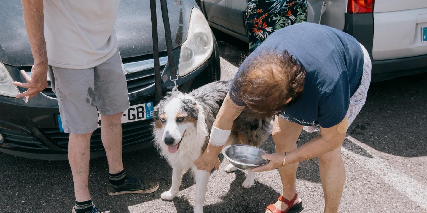 Southern France suffocates under heatwave: 'Every year, it gets worse. I don't know how much longer we can keep going like this'