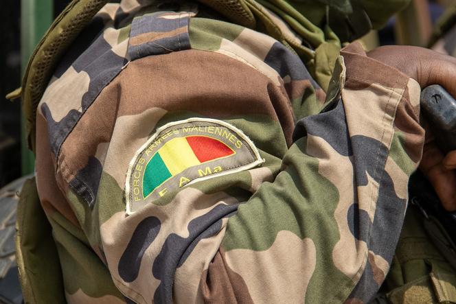 L’écusson des forces armées maliennes (FAMa).