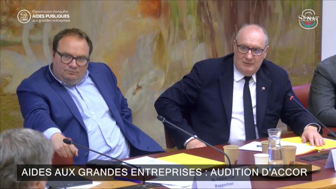 Les sénateurs Fabien Gay (Parti communiste, Seine-Saint-Denis) et Olivier Rietmann (Les Républicains, Haute-Saône), respectivement rapporteur et président de la commission d’enquête sur l’utilisation des aides publiques aux grandes entreprises, à Paris, le 13 mai 2025.