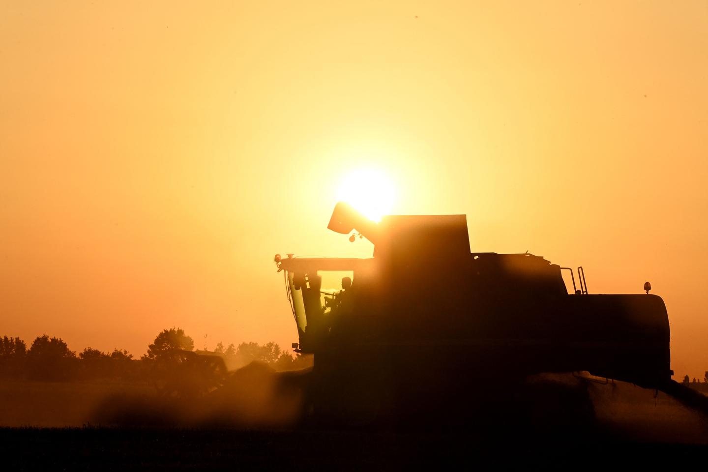 Canicules : pourquoi l’agriculture française doit se réinventer