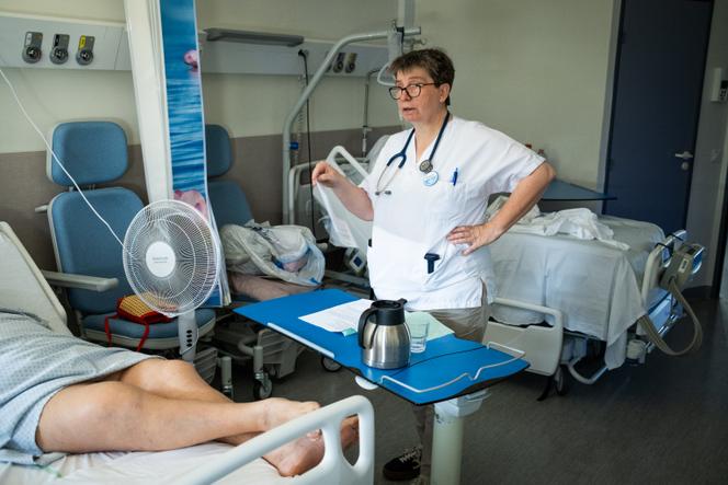 Catherine Le Gall. Meanwhile, head of the emergency department of the Argenteuil hospital center (Val-d'Oise), at the bedside of a patient on July 1, 2025. emergency room argenteuil hospital, few