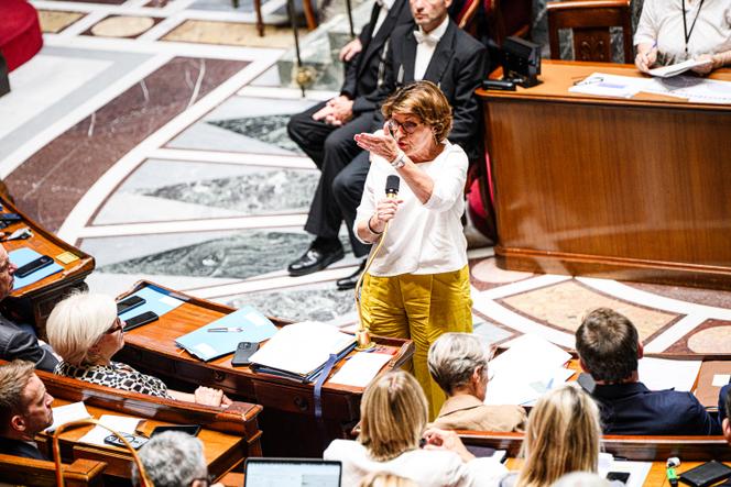 La ministre de l’agriculture et de la souveraineté alimentaire, Annie Genevard, prend la parole au sujet de la loi Duplomb lors de la séance des questions au gouvernement, à l’Assemblée nationale, à Paris, le 1ᵉʳ juillet 2025.