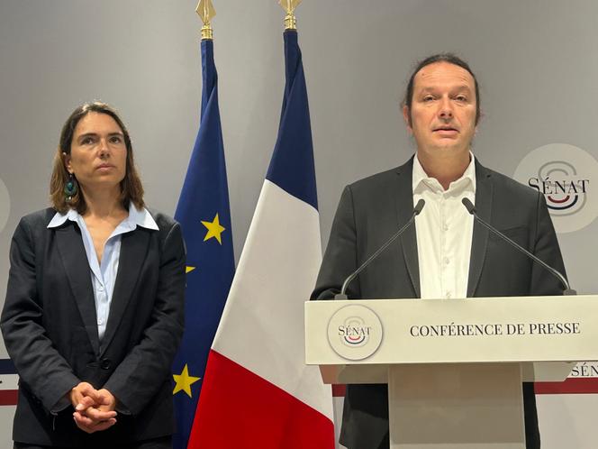 Les sénateurs Christine Lavarde (Les Républicains) et Pierre Barros (Parti communiste), rapporteur et président de la commission d’enquête sénatoriale sur les missions des agences, opérateurs et organismes consultatifs de l’Etat, à Paris, le 3 juillet 2025.