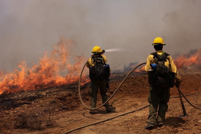 Os bombeiros atacam Madre Fire perto de New Cuyama, Califórnia, 3 de julho de 2025.