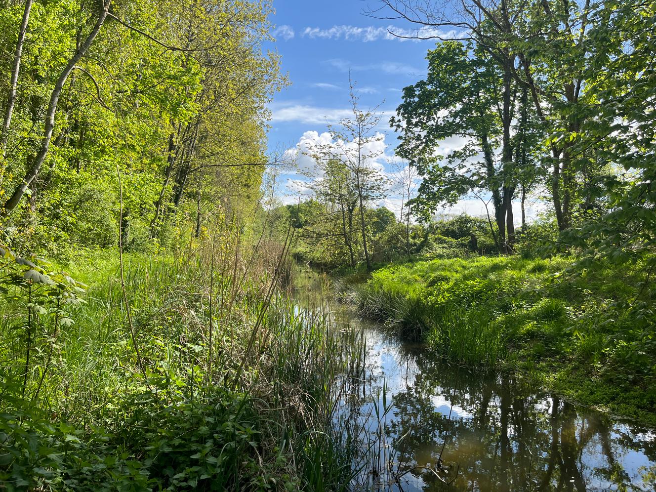 Dans les fleuves et rivières de France, la température de l’eau augmente et certaines espèces déclinent