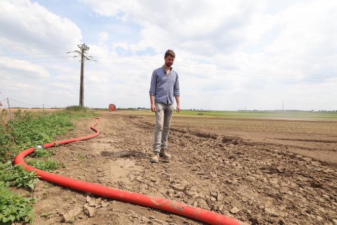 Un maraîcher de Carnin, dans le Nord, le 20 mai 2025.