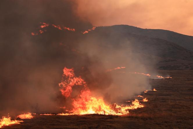 Images Le Monde.fr