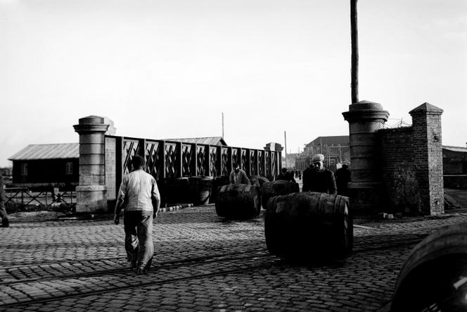 Des ouvriers dégagent les ponts des barils installés par les grévistes, le 21 novembre 1948, sur le port de Dunkerque, lors de la grève des dockers et des mineurs.