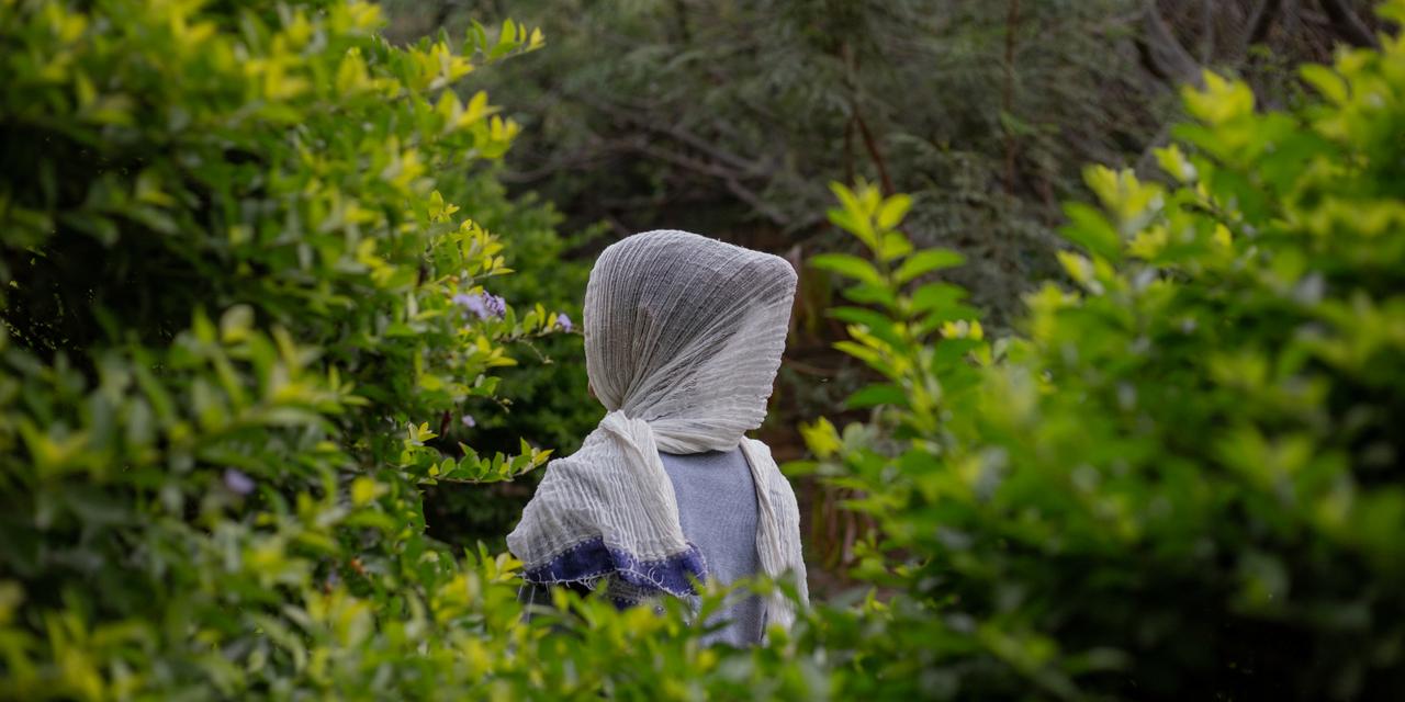 Images Le Monde.fr