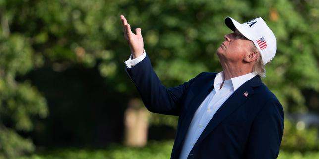 'Negotiating with Donald Trump is like playing chess with a pigeon'