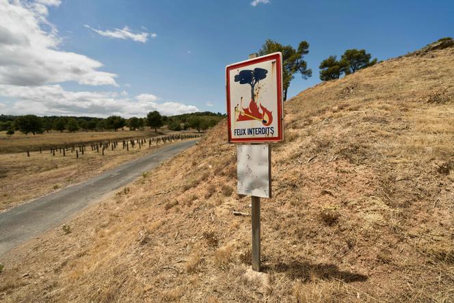 A Lézignan-Corbières, dans l’Aude, le 7 juillet 2025.