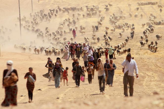 Des personnes déplacées de la secte minoritaire des Yazidis, fuyant les violences des forces loyales à l’État islamique dans la ville de Sinjar, marchent vers la frontière syrienne, aux abords de la montagne de Sinjar, près de la ville frontalière syrienne d’Elierbeh du gouvernorat d’Al-Hasakah, le 10 août 2014.
