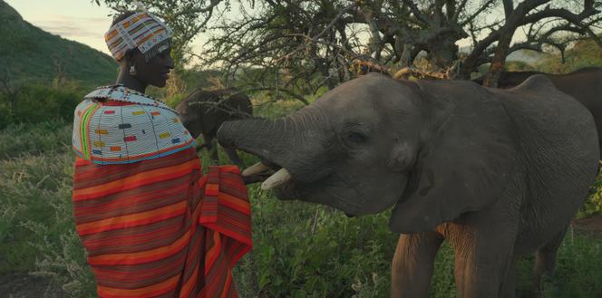 Image extraite du documentaire « Notre nouveau monde. Quand la Terre nous surprend », de Frédéric Fougea et Gilles Dufraisse.