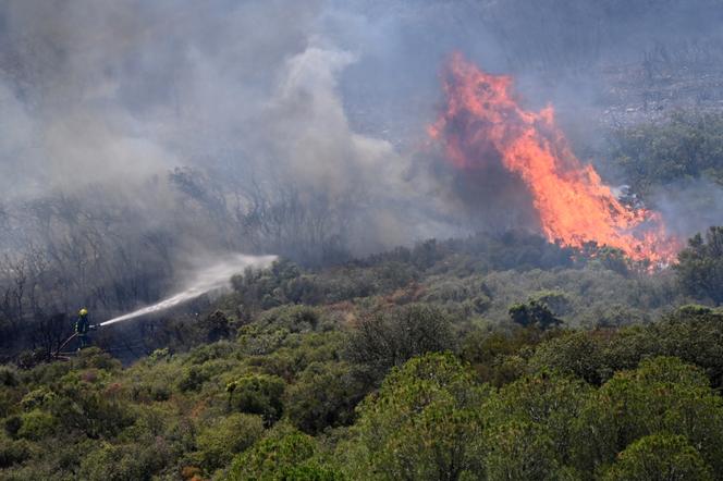 Des pompiers combattent un incendie près de Narbonne, dans l’Aude, le 8 juillet 2025.