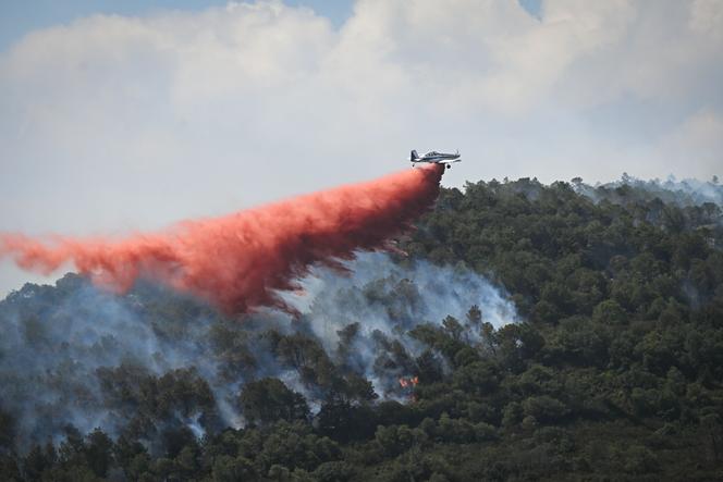 Images Le Monde.fr