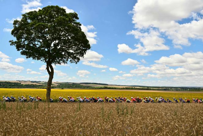 Windows wallpaper? No way. The peloton entered the arable lands of Normandy, where they will remain until Thursday before heading to Brittany.