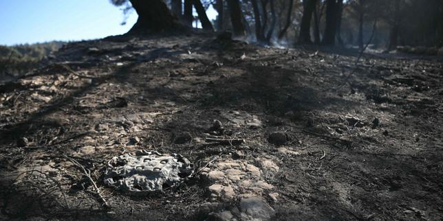 En direct, incendies : le feu à Marseille « en très nette régression », deux autres sont toujours actifs dans le Gard et près de Narbonne