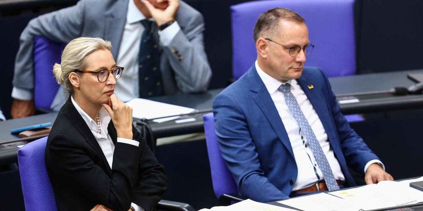 Allemagne : le parti d’extrême droite AfD veut discipliner ses membres au Bundestag