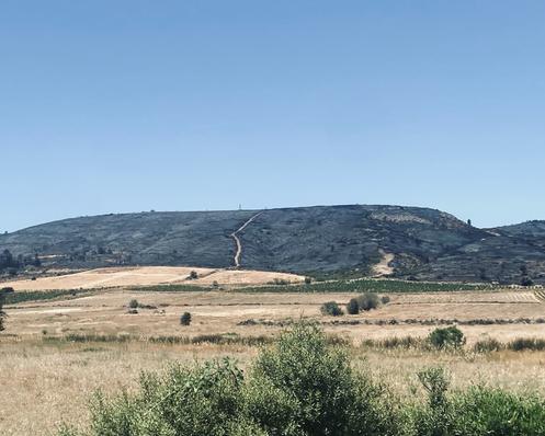 The hills covered with charred vegetation near Prat-de-Cest, in the Aude, on July 9, 2025.