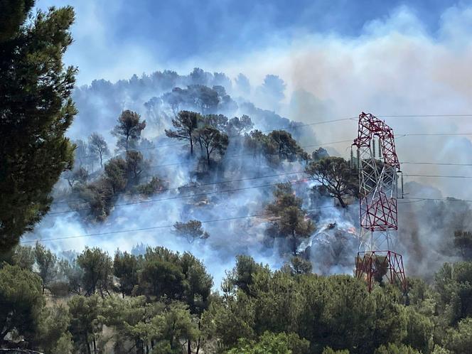 Incendie de forêt aux Pennes-Mirabeau (Bouches-du-Rhône), le 8 juillet 2025.