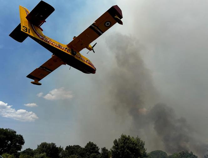 Un Canadair survole un feu de forêt sur le bord de l’autoroute A9 entre les villes d’Orange et de Narbonne, dans le sud-ouest de la France, le 5 juillet 2025.