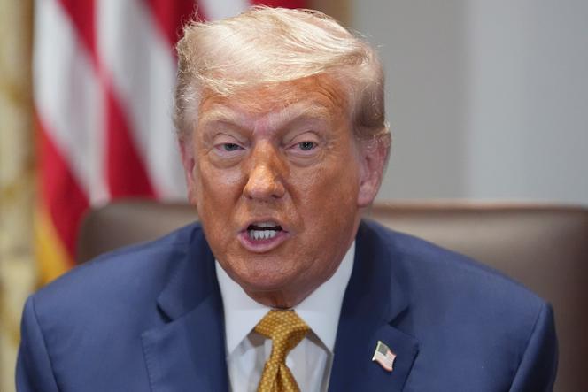 Le président Donald Trump à la Maison Blanche, à Washington, le 8 juillet 2025.