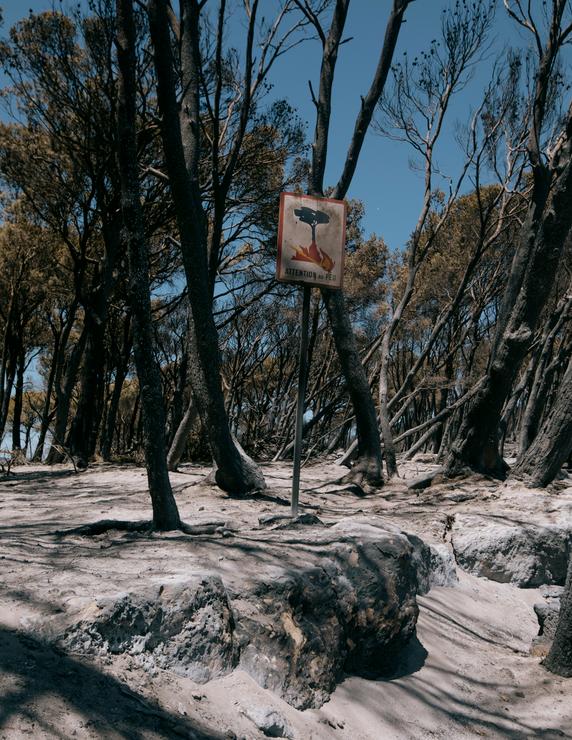 Une zone forestière détruite par le feu, où des dunes de cendres se sont formées, dans les environs de Bages (Aude), le 9 juillet 2025.