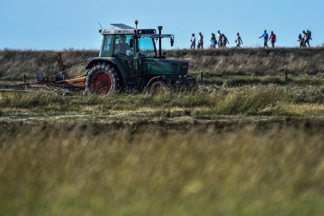 Un agriculteur en tracteur au pied du Mont-Saint-Michel (Manche), le 9 août 2023.