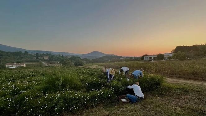Imagem extraída do documentário