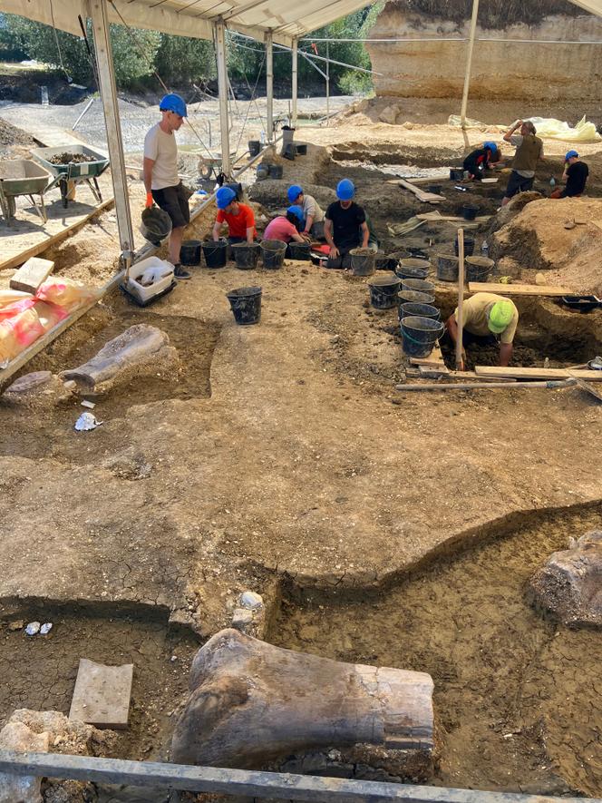 Fouilles paléontologiques à Angeac (Charente), le 10 juillet 2025. Au premier plan, un fragment de fémur de camarasaure, un sauropode datant d’environ 140 millions d’années.