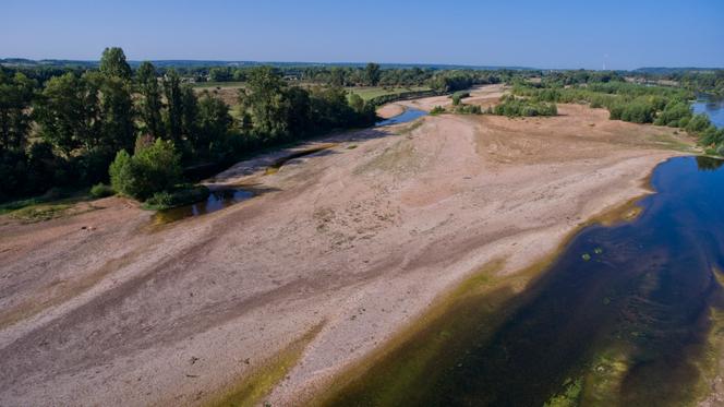 Des bancs de sable et des algues vertes sont visibles sur la Loire pendant la sécheresse à Langeais, dans le centre de la France, le 22 août 2023.