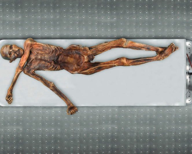 La momie de l’homme des glaces dans son enceinte de conservation au musée archéologique de Bolzano.