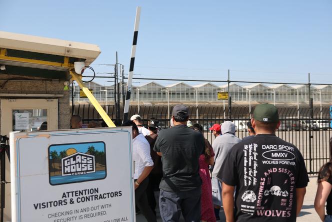 Des proches de personnes arrêtées lors de la descente de la police de l’immigration font la queue à Glass House Farms, à Camarillo, en Californie, pour récupérer les véhicules laissés sur place, le 11 juillet 2025.
