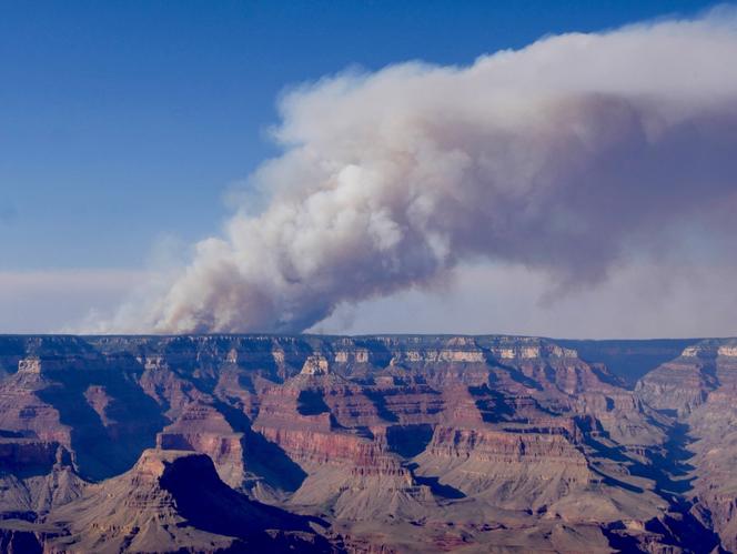 Incendie aux abords de la rive nord du parc du Grand Canyon, sur une image diffusée par le service des parcs nationaux le 11 juillet 2025.