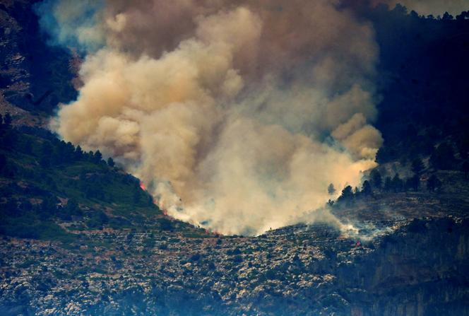 Feu de forêt près de Paüls, à proximité de Tarragone (Espagne), le 8 juillet 2025.