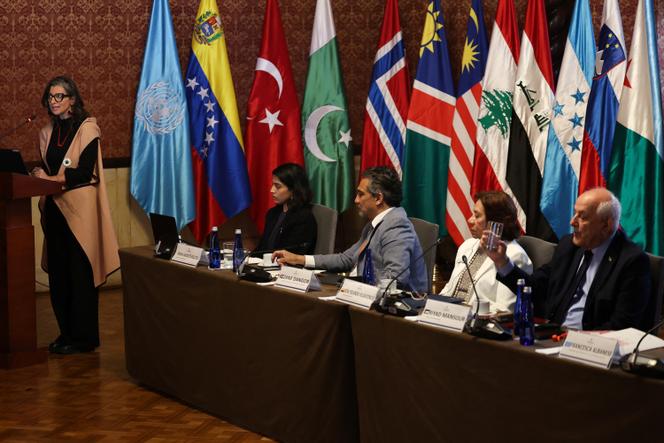 Francesca Albanese, rapporteuse spéciale des Nations unies pour les territoires palestiniens occupés, lors d’une conférence pour discuter des mesures contre Israël, à Bogota, le 15 juillet 2025.