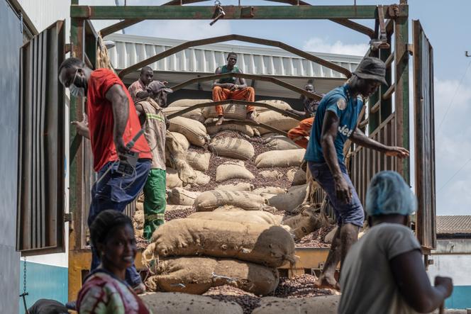 Des ouvriers déchargent une livraison de fèves de cacao, à l’usine Awazen, à Abidjan (Côte d’Ivoire), le jeudi 17 novembre 2022.