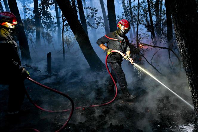 Des sapeurs-pompiers éteignent un feu en forêt de Brocéliande, à Trehorenteuc (Morbihan), le 17 juillet 2025.