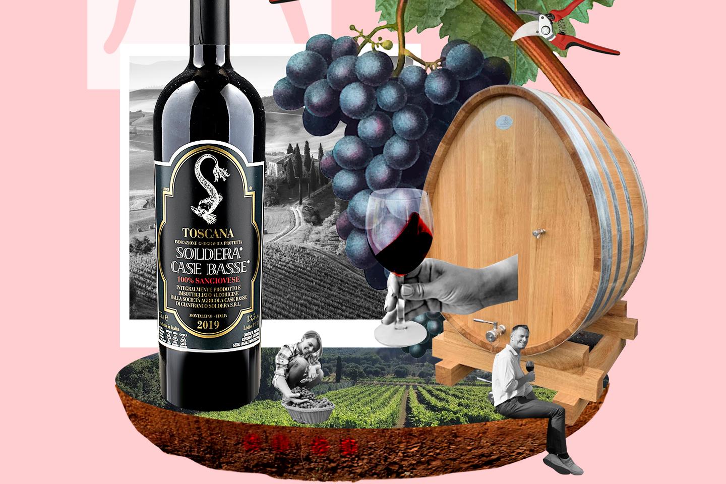 Le domaine viticole Soldera, une île mystérieuse au cœur de la Toscane