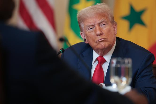 Donald Trump, lors d’un déjeuner avec des dirigeants africains, dont le Libérien Joseph Boakai, à la Maison Blanche, à Washington, le 9 juillet 2025.